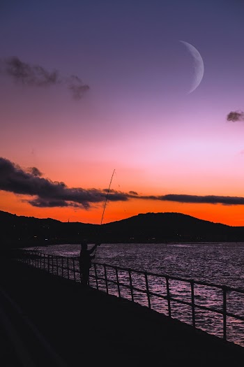 Free stock photo of beach, beautiful, fishing