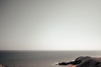 Free stock photo of beach, bird's eye view, coast