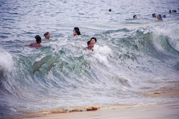 Free stock photo of beach, daytime, foam