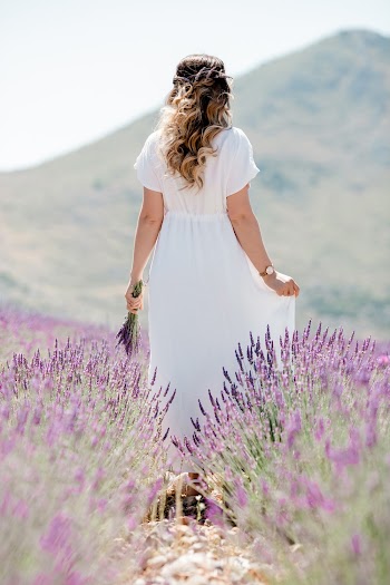 Free stock photo of beauty, bloom, blossom