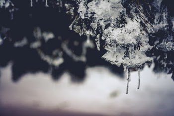 Free stock photo of black and white, blur, blurred background
