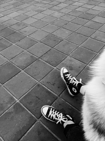 Free stock photo of black and white, child, city