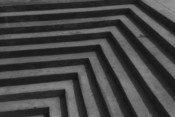 Free stock photo of black and white, close-up, colors