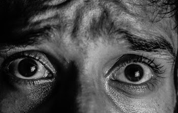 Free stock photo of black and white, close-up, eyeball