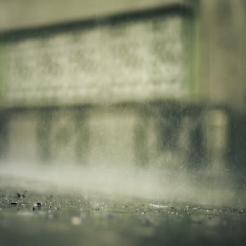 Free stock photo of blur, blurred background, close-up