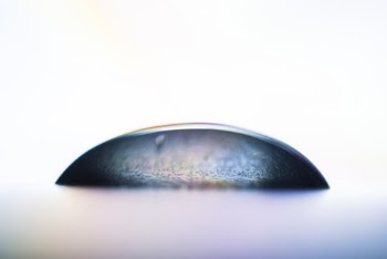Free stock photo of blur, clear, close-up