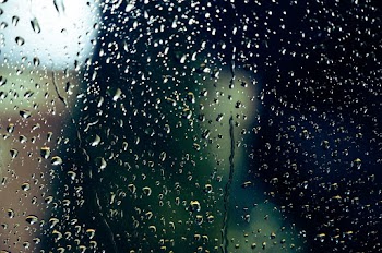 Free stock photo of blur, close-up, colors