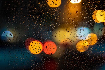 Free stock photo of blurred background, close-up, colors