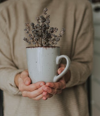Free stock photo of breakfast, caffeine, cappuccino