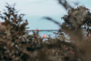 Free stock photo of bright, colors, daylight