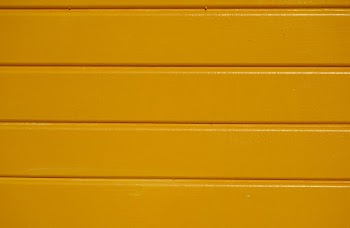 Free stock photo of brown, close-up, color