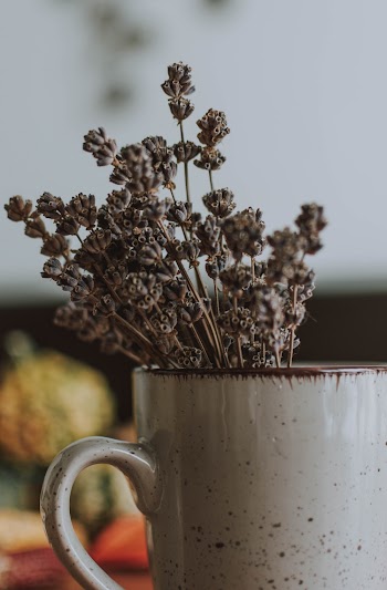 Free stock photo of caffeine, coffee, cup