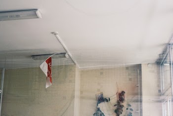 Free stock photo of ceiling, daylight, flag