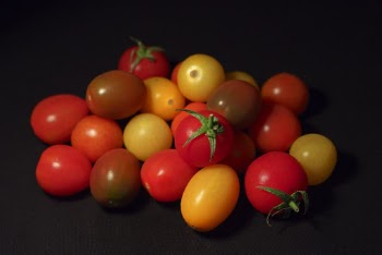 Free stock photo of cherry tomatoes, close-up, confection
