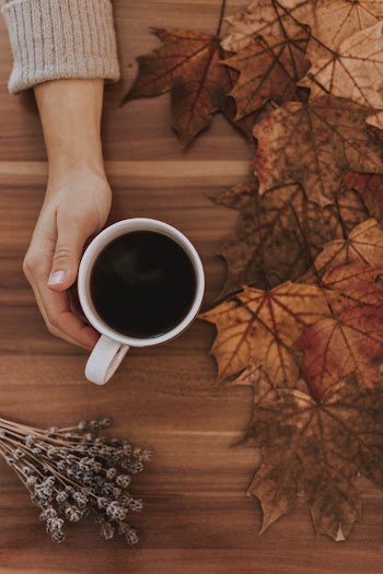 Free stock photo of christmas, coffee, cup