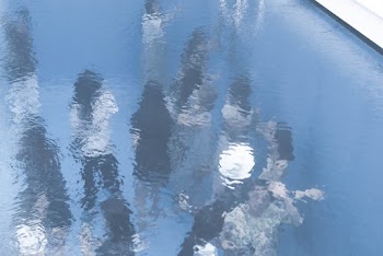 Free stock photo of clear, close-up, daylight