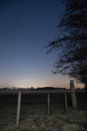 Free stock photo of constellations, dark, environment