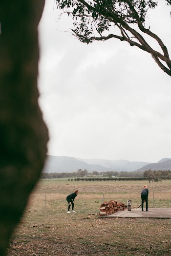 Free stock photo of cricket, outdoors, sport