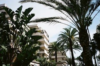 Free stock photo of exotic, hotel, island