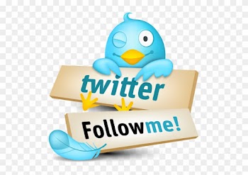 Free Survey Newsletter - Earn Money With Twitter