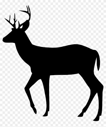 Free Svg Images - New Baby Congratulations Hunting Theme With Deer Card