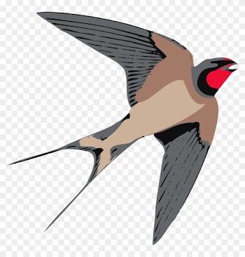 Free Tiger Clipart - Swallow Clipart
