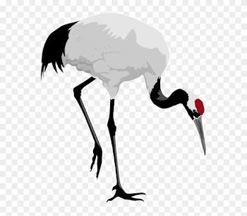 Free To Use Public Domain Birds Clip Art - Red Crowned Crane Clipart