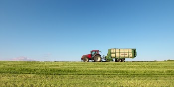 Free truck on grass field | Free Photo - rawpixel