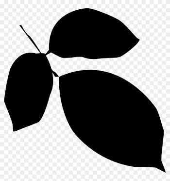 Free Vector Free Leaf Silhouettes Vector Set - Leaf Silhouette Vector Png