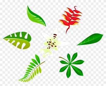 Free Vector Free Leaf Vector Art Package - Leaf Vector Art Png
