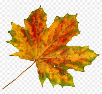 Free Vector Graphic - Fall Leaves To Cut Out