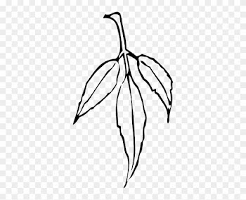 Free Vector Leaf Clip Art - Gum Leaf Black And White