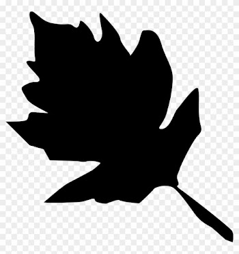 Free Vector Leaf Silhouettes Free Vector Graphics - Plant Leaves
