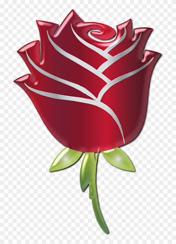Free Vectors Of Roses - Clip Art Rose