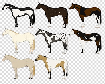 Free Watcher Designs SOME POSTED FOR SALE transparent background PNG clipart
