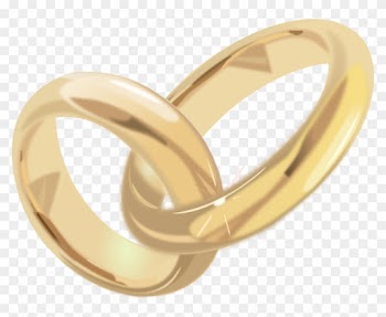 Free Wedding Rings Free Elvish Spiral Free Alianã§as - Alianças De Prata Entrelaçadas