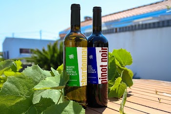 Free Wine Bottle Label Mockups