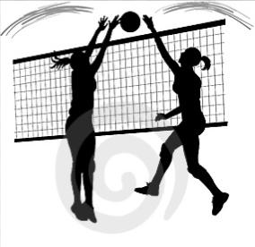 Freedom Area Rec Council: Volleyball