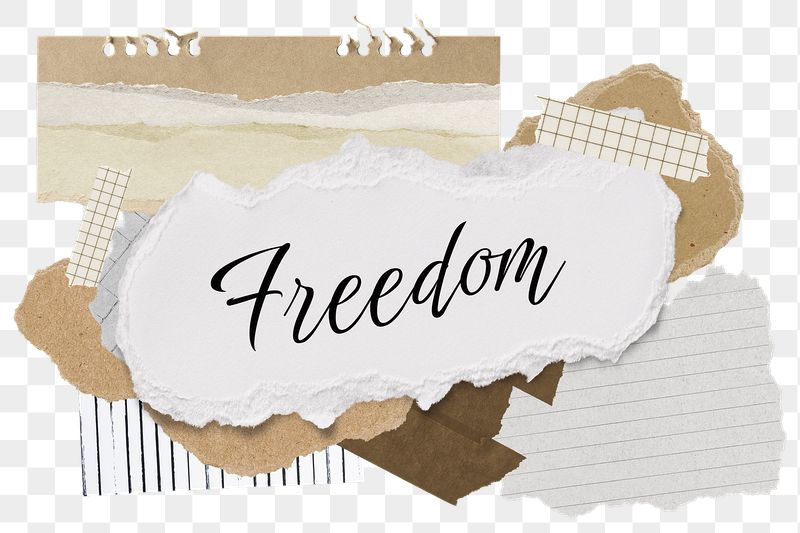 Freedom png word sticker typography, | Free PNG - rawpixel
