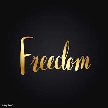 Freedom word typography style vector | Free stock vector - 517645