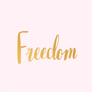 Freedom word typography style vector | Free stock vector - 517695