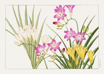 Freesia flower, Japanese woodblock art | Free Photo Illustration - rawpixel