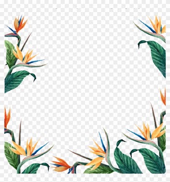 Freetoedit Ftestickers Flowers Floralborder - Frame Modern Png