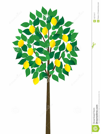 Freeware Lemon Tree Clipart & Clip Art Images #14085 ...