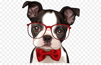 French Bulldog Boston Terrier Pug Bichon Frise - Cartoon bulldog 