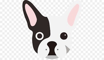 French Bulldog Facebook, Inc. Dog breed Customer Minorista - buldog 