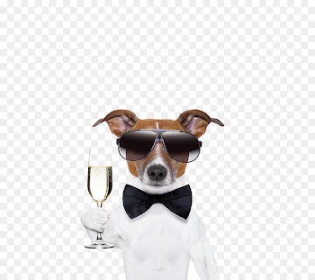 French Bulldog Pug Cocktail Martini Puppy - White male dogs toast 