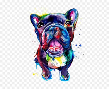 French Bulldog Pug Pit bull Pet - Pet dog 
