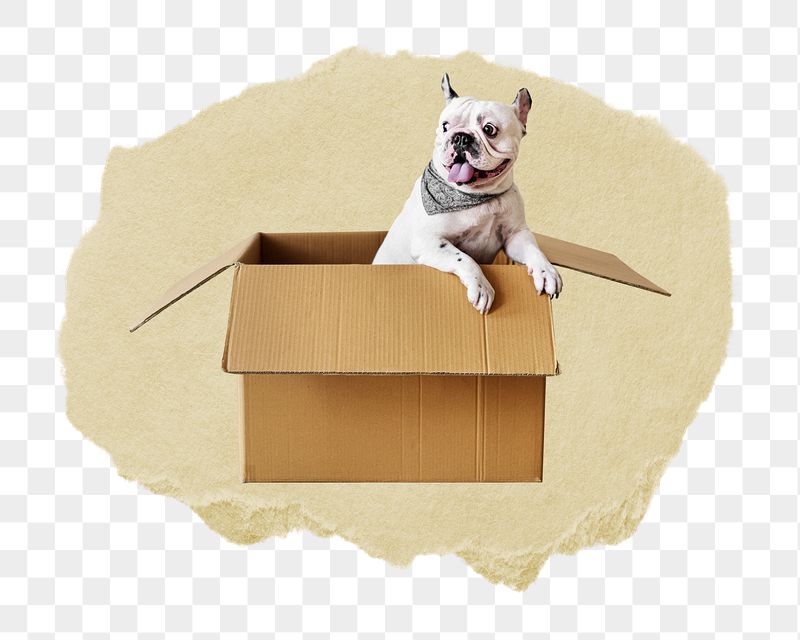 French Bulldog puppy png ripped | Free PNG - rawpixel