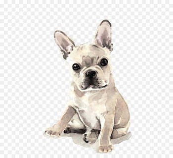 French Bulldog Puppy Watercolor painting Fawn - dog 